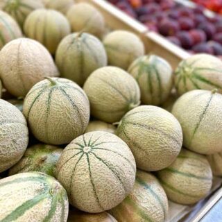 Melon à Nîmes